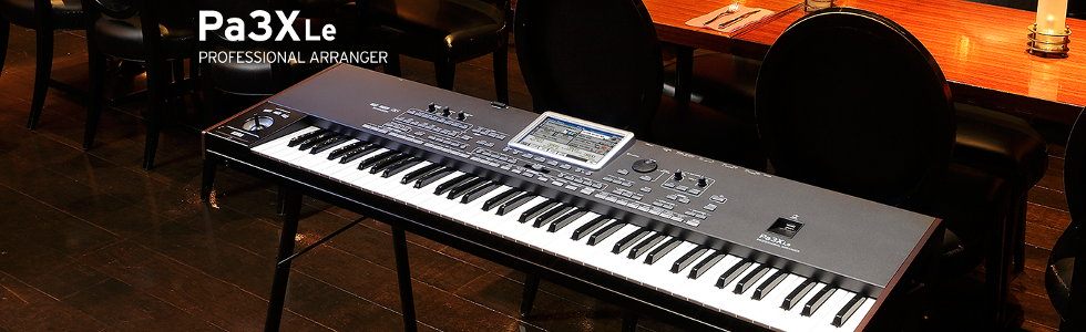 KORG Pa3X Le